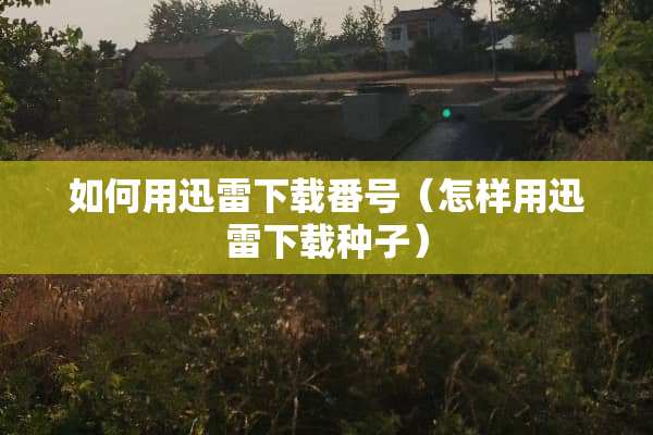 如何用迅雷下载番号（怎样用迅雷下载种子）