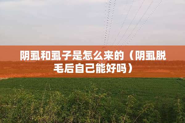 阴虱和虱子是怎么来的（阴虱脱毛后自己能好吗）