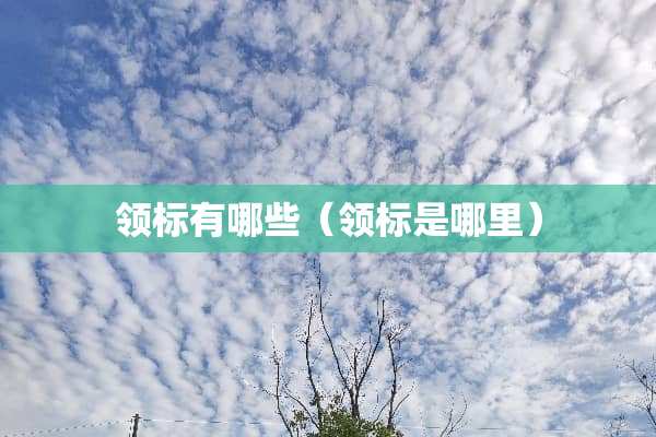 领标有哪些（领标是哪里）