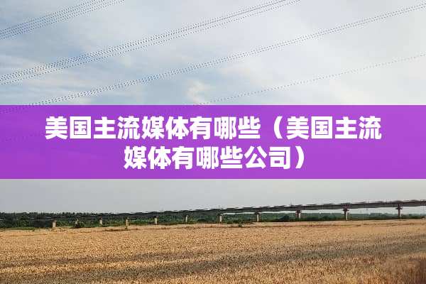 美国主流媒体有哪些（美国主流媒体有哪些公司）