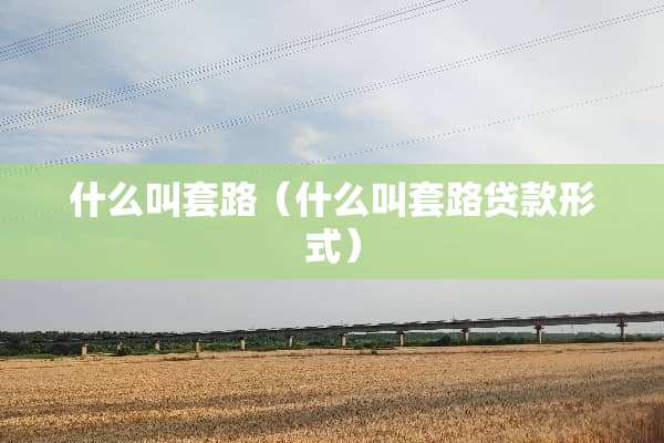 什么叫套路（什么叫套路贷款形式）