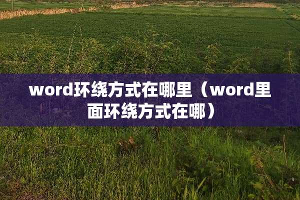 word环绕方式在哪里（word里面环绕方式在哪）