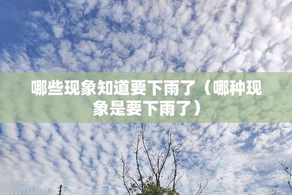 哪些现象知道要下雨了（哪种现象是要下雨了）