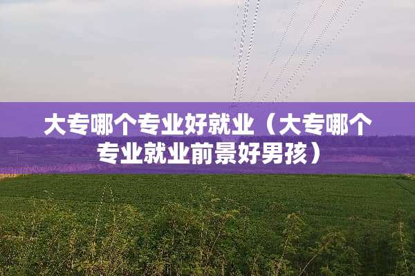 大专哪个专业好就业（大专哪个专业就业前景好男孩）