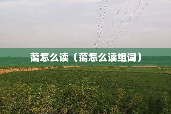 蔼怎么读（蔼怎么读组词）