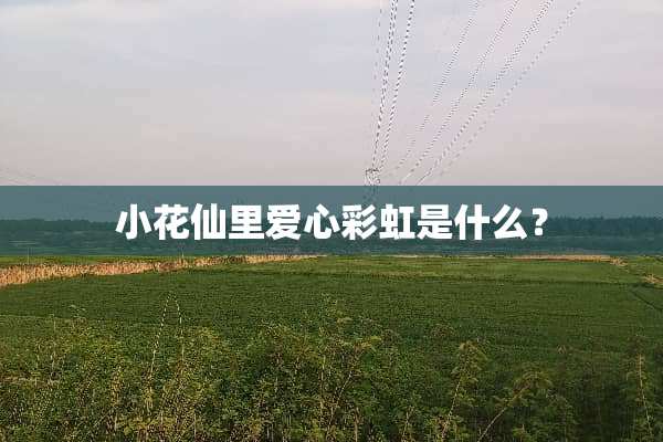 小花仙里爱心彩虹是什么？