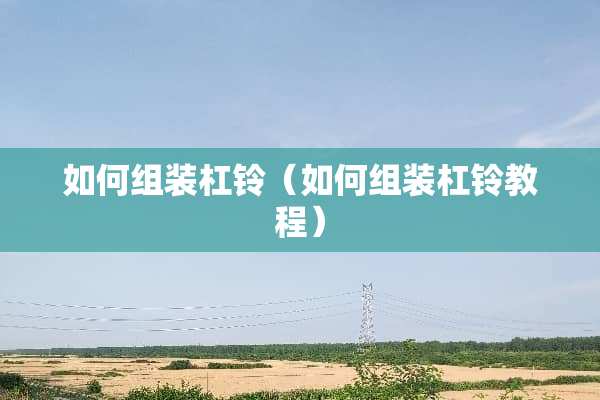 如何组装杠铃（如何组装杠铃教程）