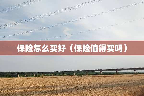 保险怎么买好（保险值得买吗）