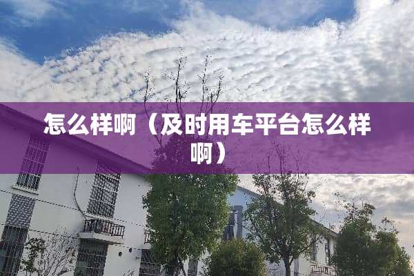 怎么样啊（及时用车平台怎么样啊）