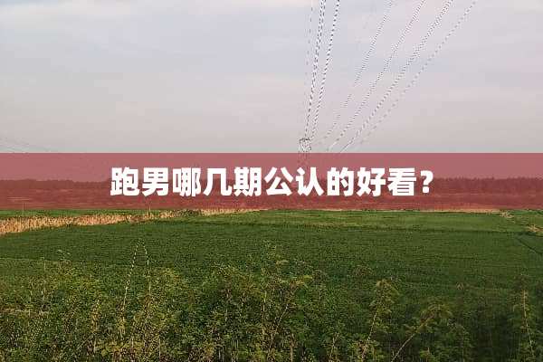 跑男哪几期公认的好看？