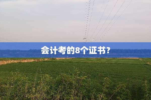 会计考的8个证书？