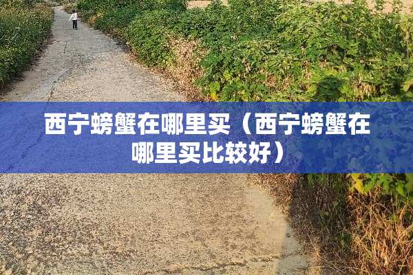 西宁螃蟹在哪里买（西宁螃蟹在哪里买比较好）