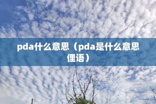 pda什么意思（pda是什么意思俚语）