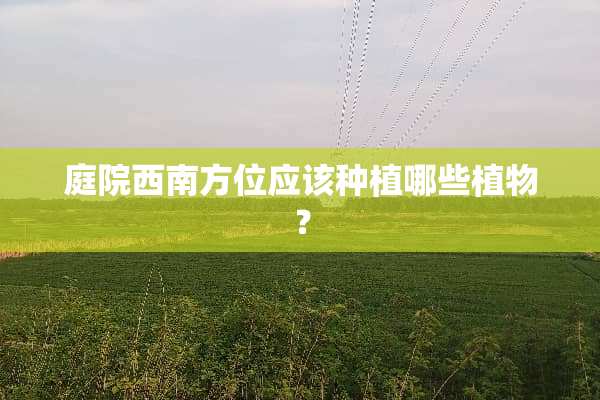 庭院西南方位应该种植哪些植物？