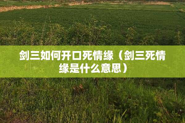 剑三如何开口死情缘（剑三死情缘是什么意思）