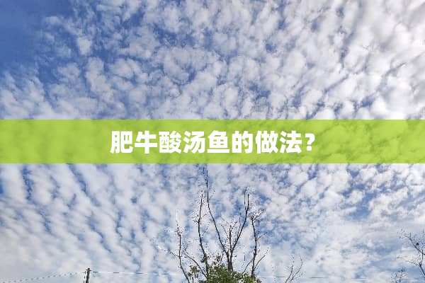 肥牛酸汤鱼的做法？