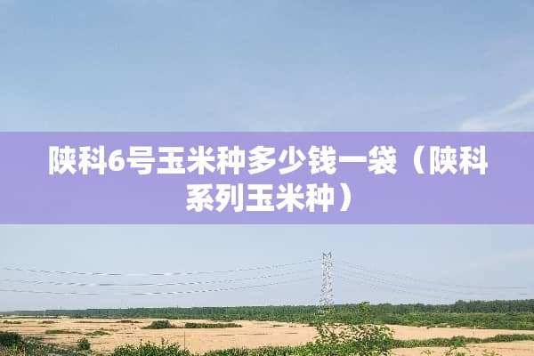 陕科6号玉米种多少钱一袋（陕科系列玉米种）
