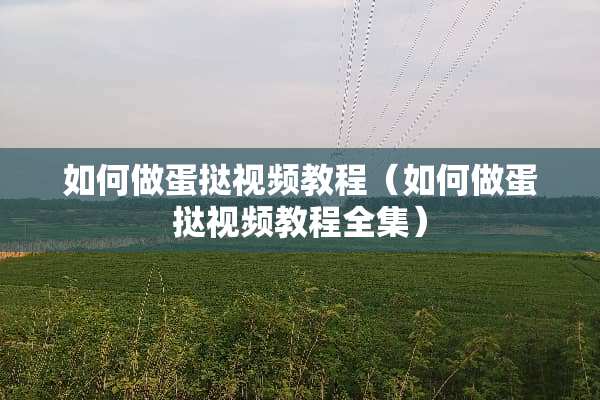 如何做蛋挞视频教程（如何做蛋挞视频教程全集）