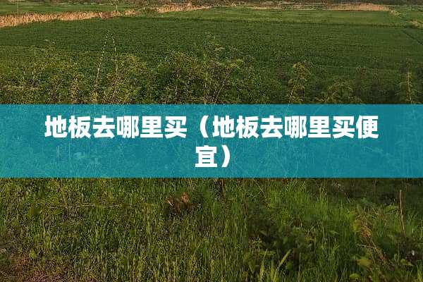 地板去哪里买（地板去哪里买便宜）