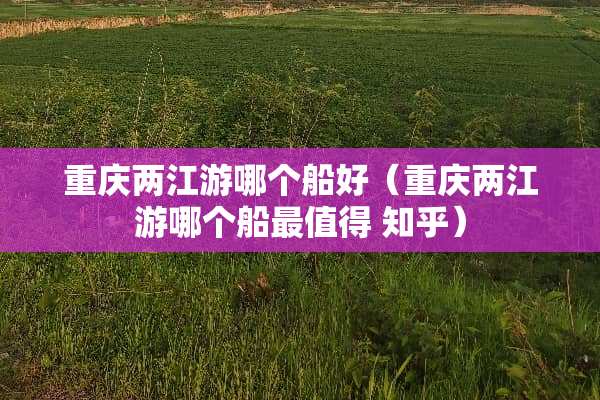 重庆两江游哪个船好（重庆两江游哪个船最值得 知乎）