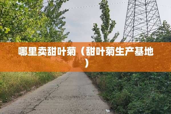 哪里卖甜叶菊（甜叶菊生产基地）