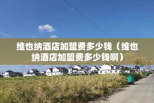 维也纳酒店加盟费多少钱（维也纳酒店加盟费多少钱啊）