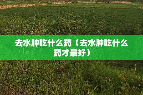 去水肿吃什么药（去水肿吃什么药才最好）