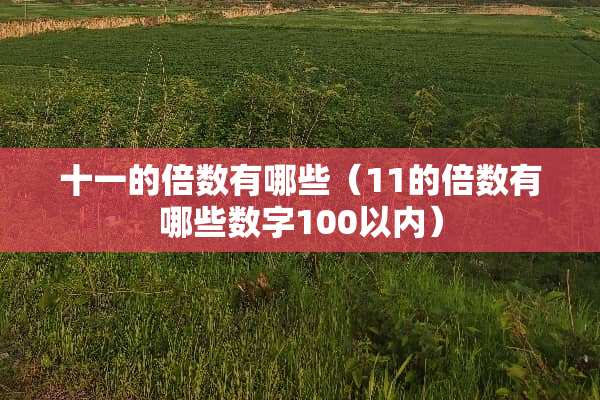 十一的倍数有哪些（11的倍数有哪些数字100以内）