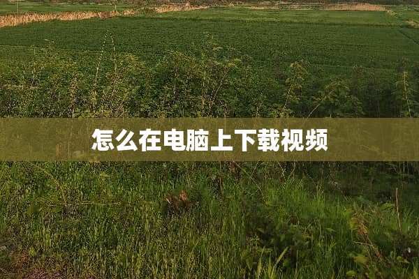 怎么在电脑上下载视频