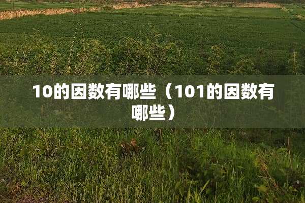 10的因数有哪些（101的因数有哪些）