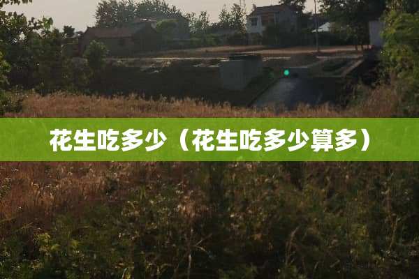 花生吃多少（花生吃多少算多）