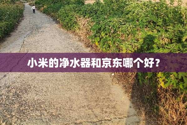 小米的***和京东哪个好？