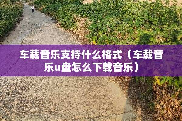 车载音乐支持什么格式（车载音乐u盘怎么下载音乐）