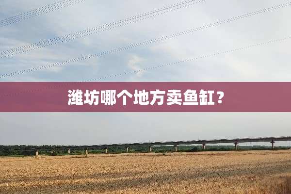 潍坊哪个地方卖鱼缸？