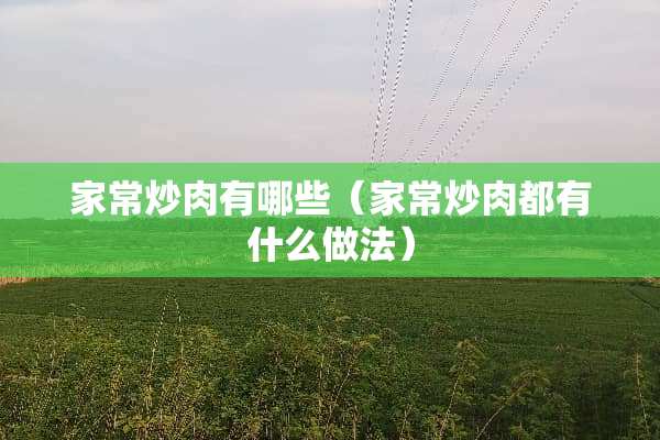 家常炒肉有哪些（家常炒肉都有什么做法）