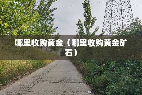 哪里收购黄金（哪里收购黄金矿石）