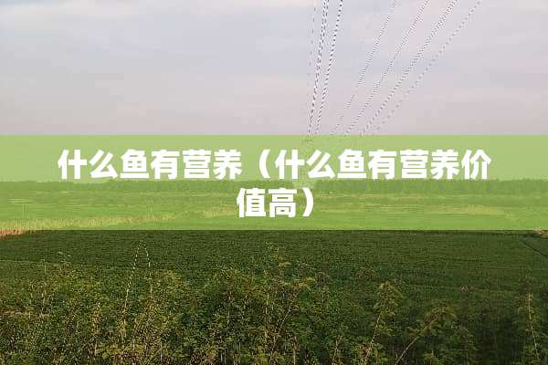 什么鱼有营养（什么鱼有营养价值高）