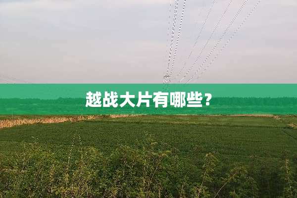 越战大片有哪些？