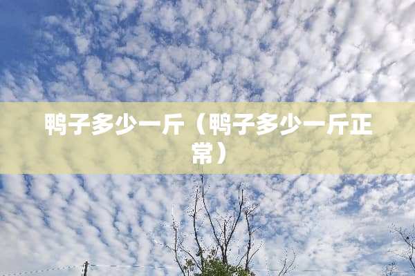 鸭子多少一斤（鸭子多少一斤正常）