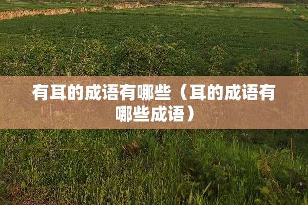 有耳的成语有哪些（耳的成语有哪些成语）