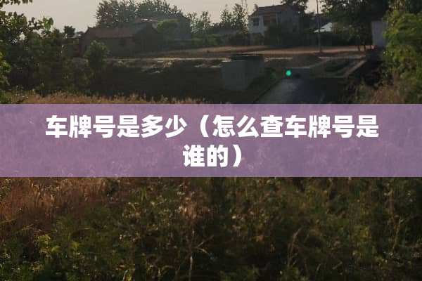 ***是多少（怎么查***是谁的）