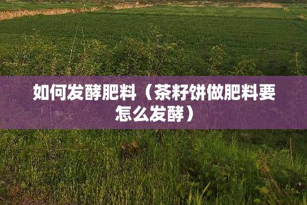 如何发酵肥料（茶籽饼做肥料要怎么发酵）