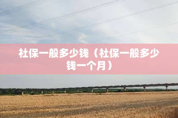 社保一般多少钱（社保一般多少钱一个月）