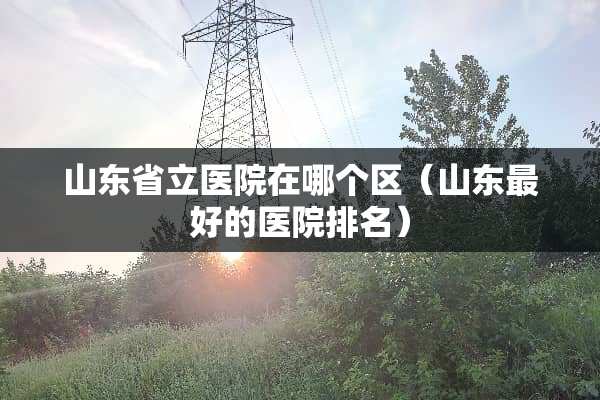 山东省立医院在哪个区（山东最好的医院排名）