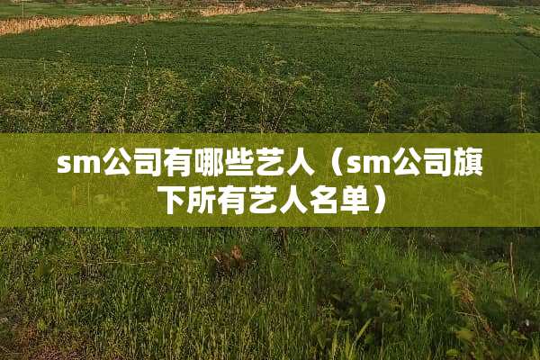 sm公司有哪些艺人（sm公司旗下所有艺人名单）