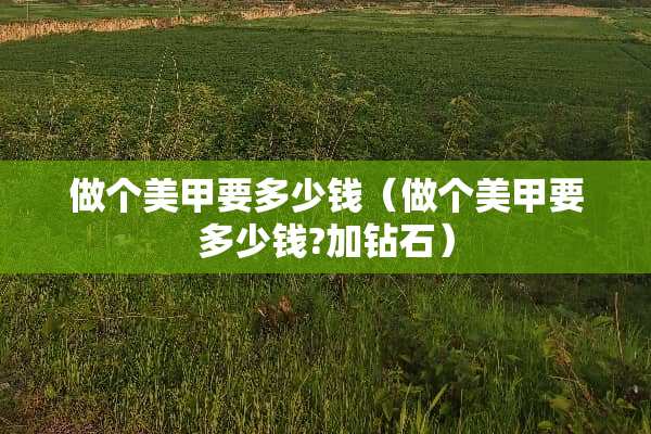 做个美甲要多少钱（做个美甲要多少钱?加钻石）