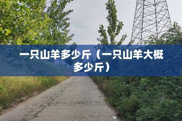 一只山羊多少斤（一只山羊大概多少斤）