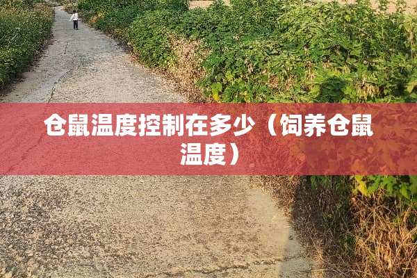 仓鼠温度控制在多少（饲养仓鼠温度）