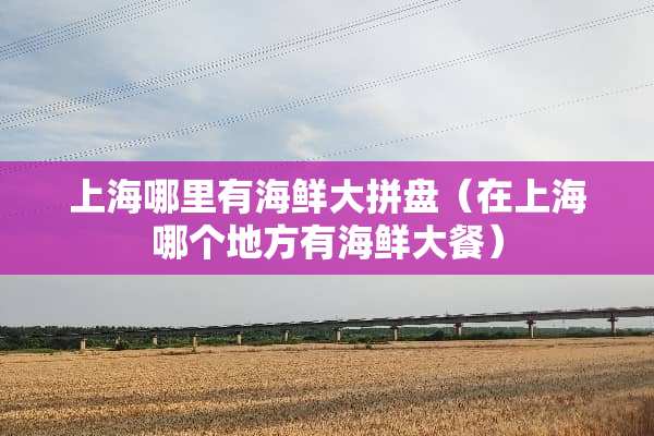 上海哪里有海鲜大拼盘（在上海哪个地方有海鲜大餐）