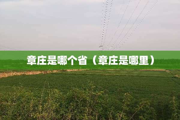 章庄是哪个省（章庄是哪里）